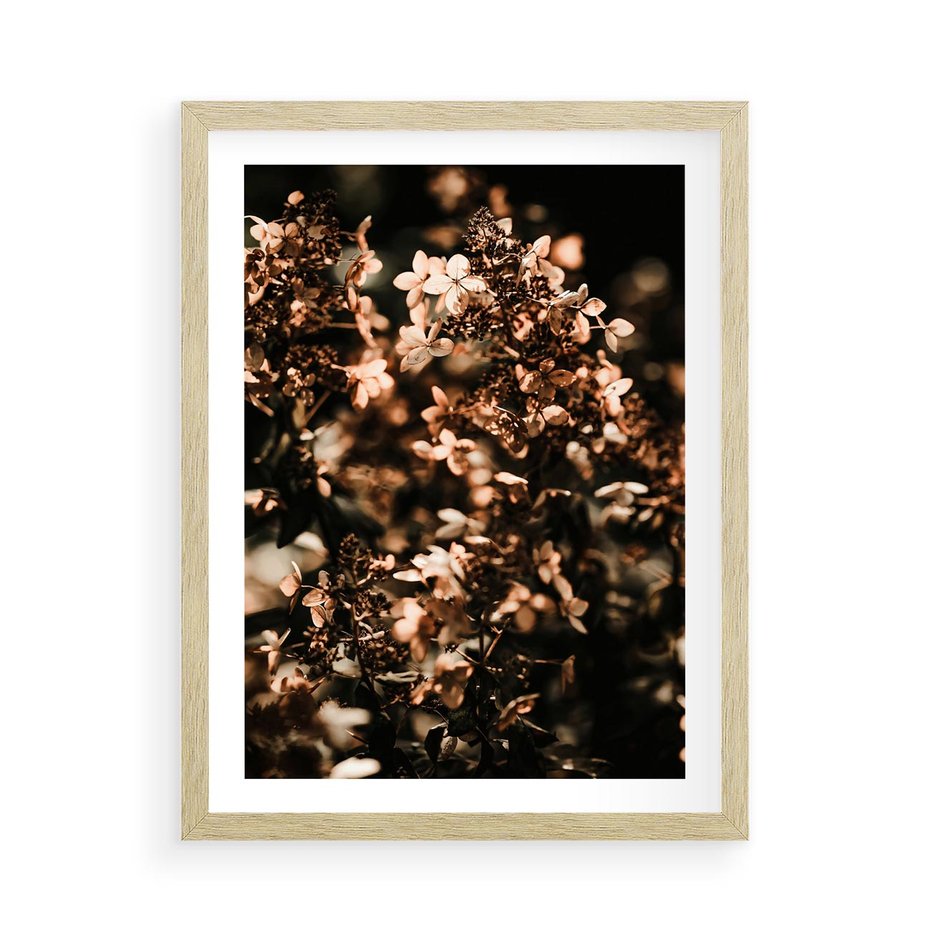 Plakat w ramie 50x70 - Sucha Kompozycja Kwiatów - suche kwiaty hortensji - rama drewno