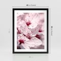 Plakat w ramie 40x50 - Kwitnąca Wiśnia - kwiaty, kwitnąca - rama czarna
