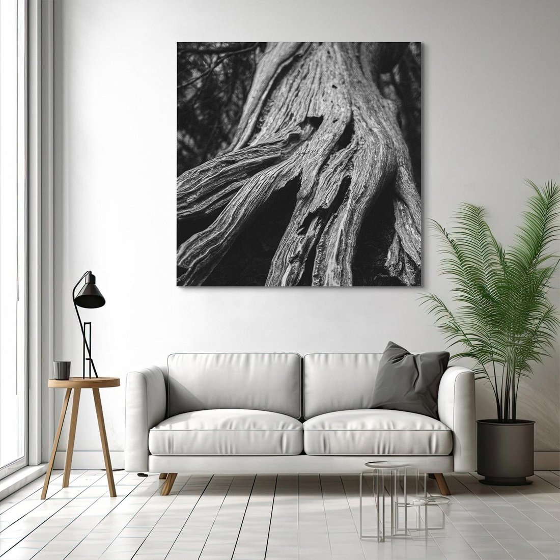 Obraz na płótnie 50x50 - Siła Natury - czarno biała fotografia, korzenie wielkiego drzewa