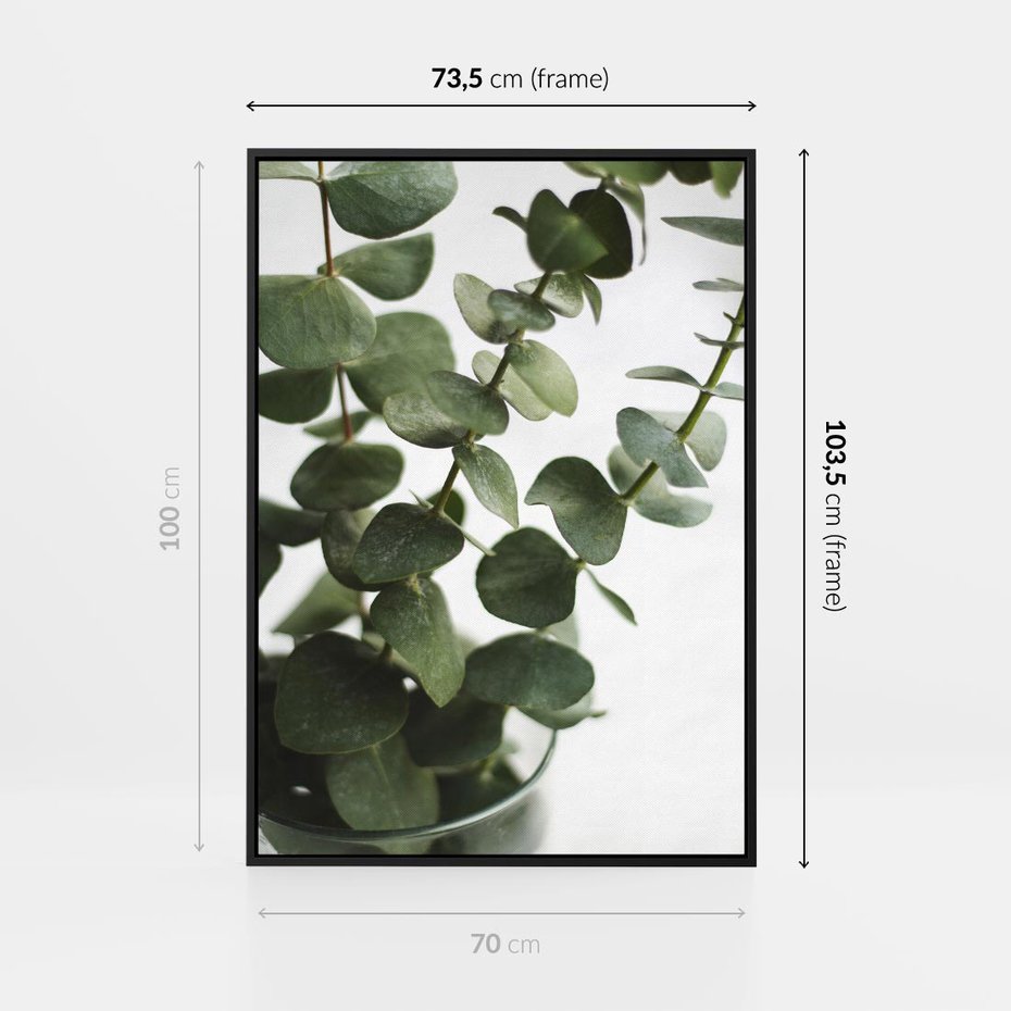 Obraz w ramie 70x100 - Zielone eukaliptusy - eukaliptus, liście - rama czarna