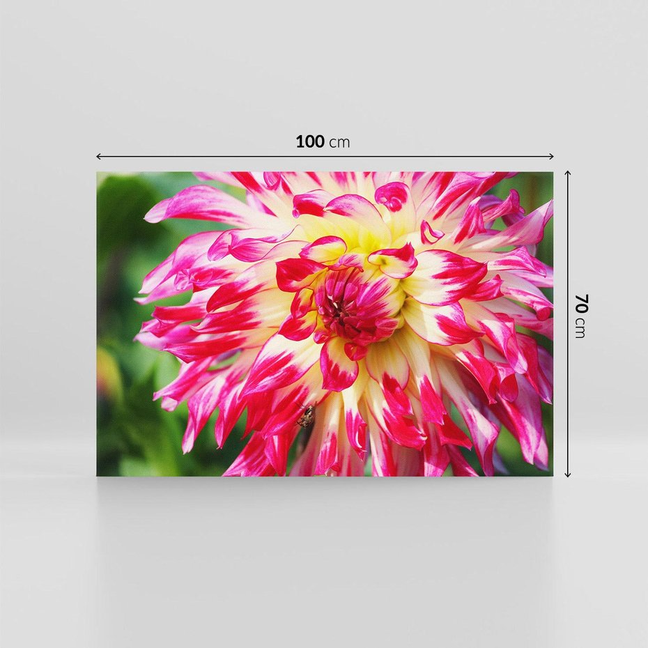 Obraz na płótnie 100x70 - Kwiatowa harmonia - kwiat, kwiaty