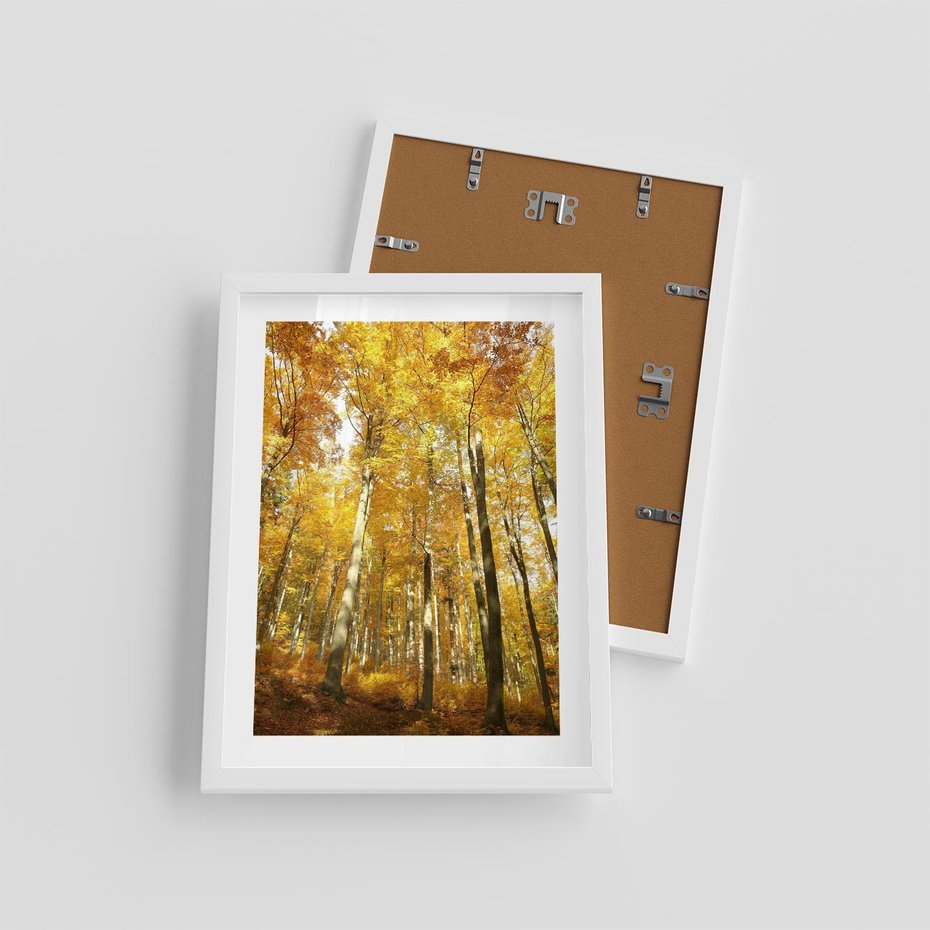 Plakat w ramie 30x40 - Jesienny Las - Kolorowa Paleta Natury - jesień, drzewa - rama biała