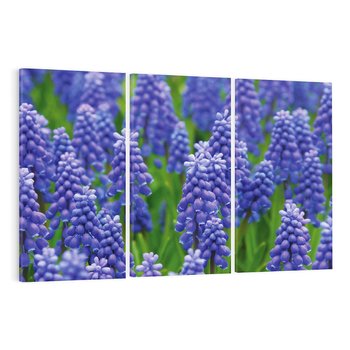 Obraz na płótnie 120x80 - Urok Lawendy - lawenda, kwiat