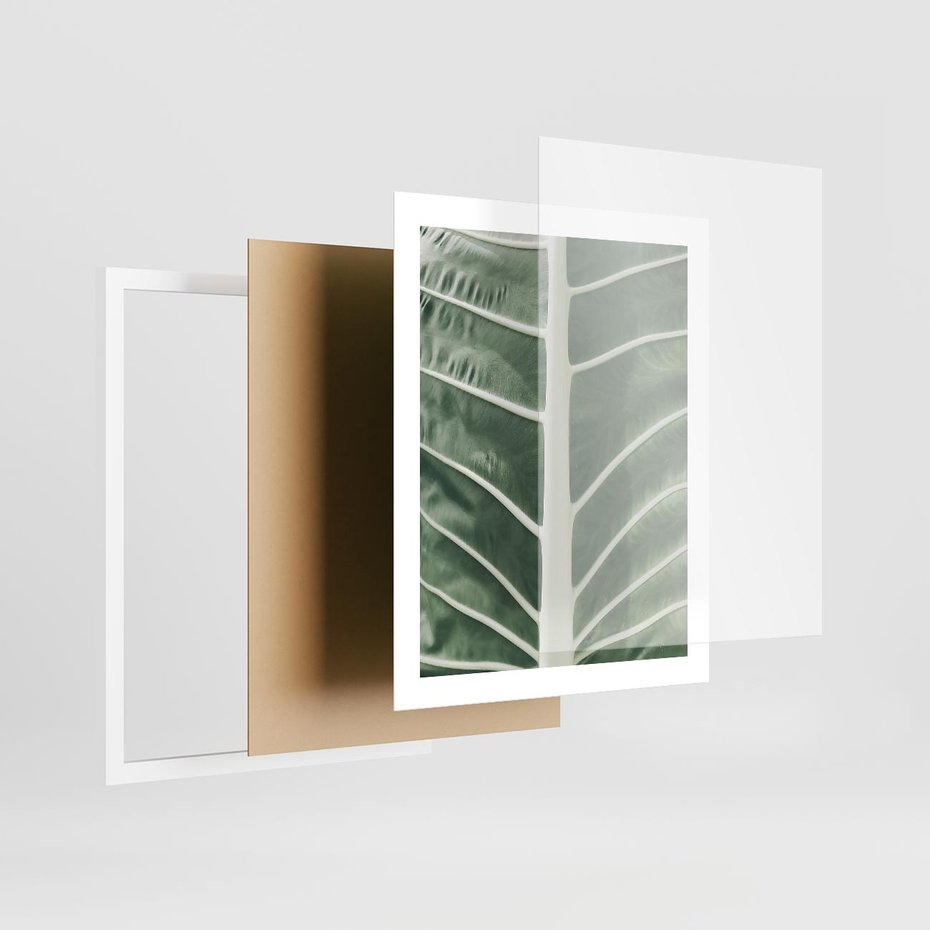 Plakat w ramie 40x50 - Zielone Wielkości: Zbliżenie Liścia - zbliżenie duz liść, jasna zieleń - rama biała