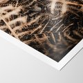 Plakat bez ramy 50x70 - Liście i Paprocie - suche liście, paprocie