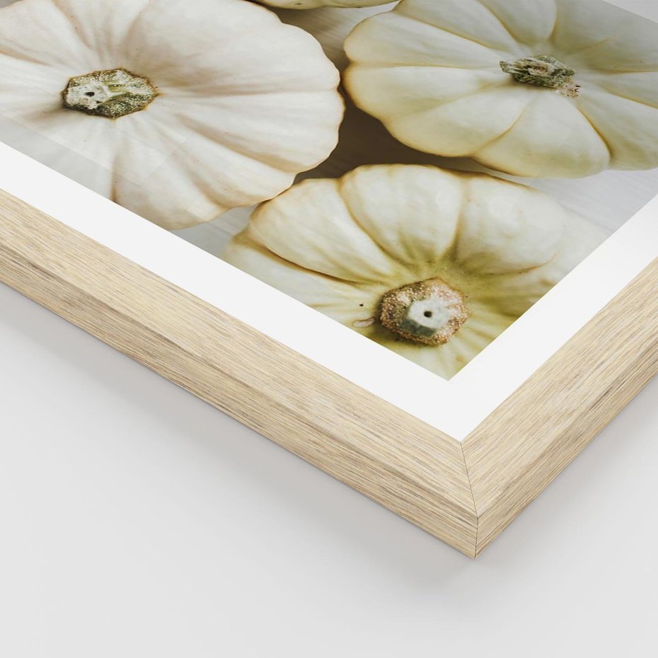 Plakat w ramie 30x40 - Jesienne Dynie: Delikatna Kompozycja - białe dynie, jasna kompozycja - rama drewno