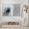 Obraz w ramie 70x50 - Oko Mocy - czarno białe zdjęcie, zbliżenie makro na oko konia - rama drewno