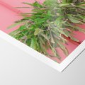 Plakat bez ramy 21x30 - Fotografia Rośliny z Różowym Tłem - fotografia, zielona roślina na tle różwj ściany