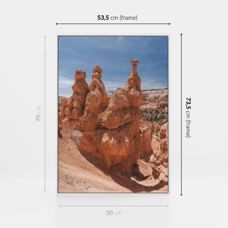Obraz w ramie 50x70 - Spektakularne Formacje Naturalne - kanion, pustynia - rama biała