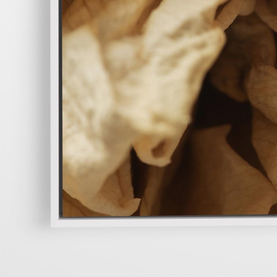 Obraz w ramie 70x50 - Zjawiskowe zasuszone kwiaty - zasuszone, kwiaty - rama biała