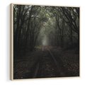 Obraz w ramie 50x50 - Urok Drogi - las, droga - rama drewno