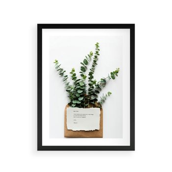 Plakat w ramie 50x70 - Eukaliptusowa harmonia - eukaliptus, liście - rama czarna