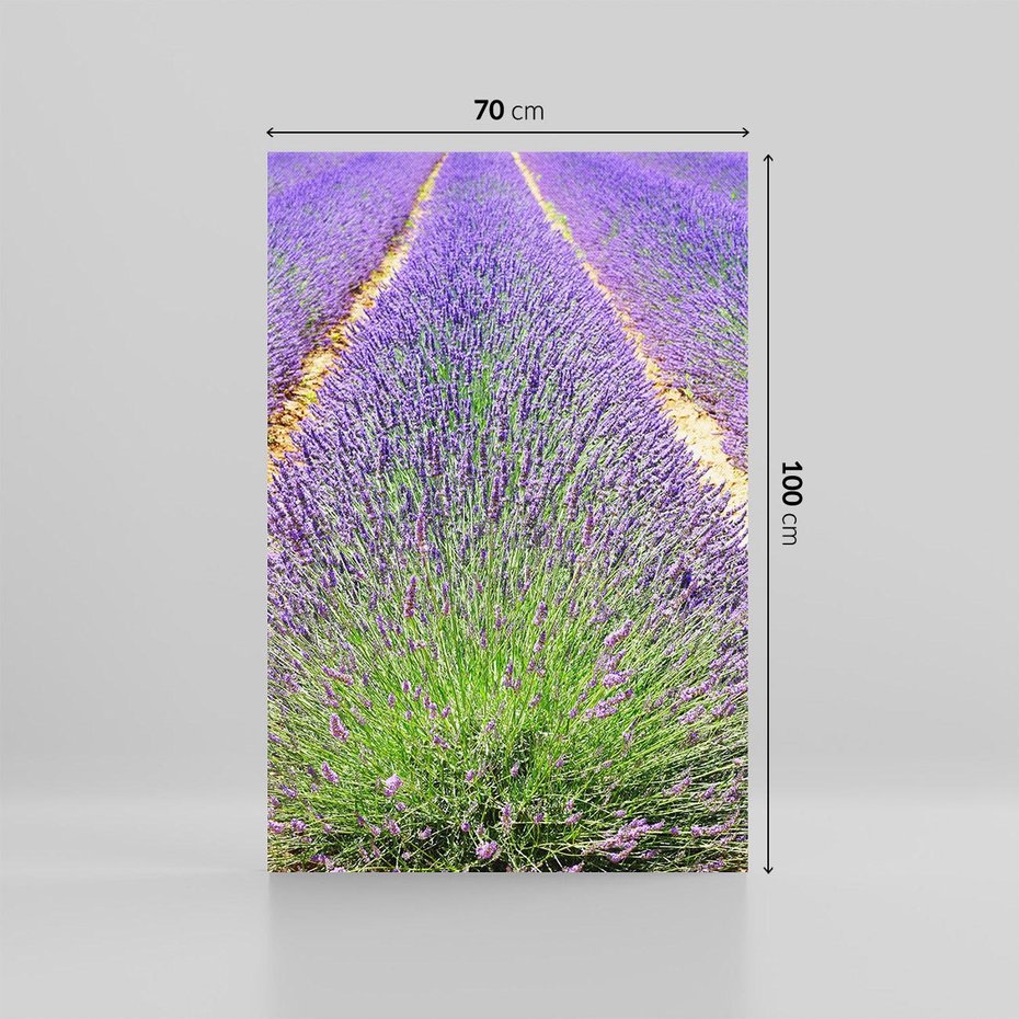 Obraz na płótnie 70x100 - Lawendowy kwiat - lawenda, kwiat