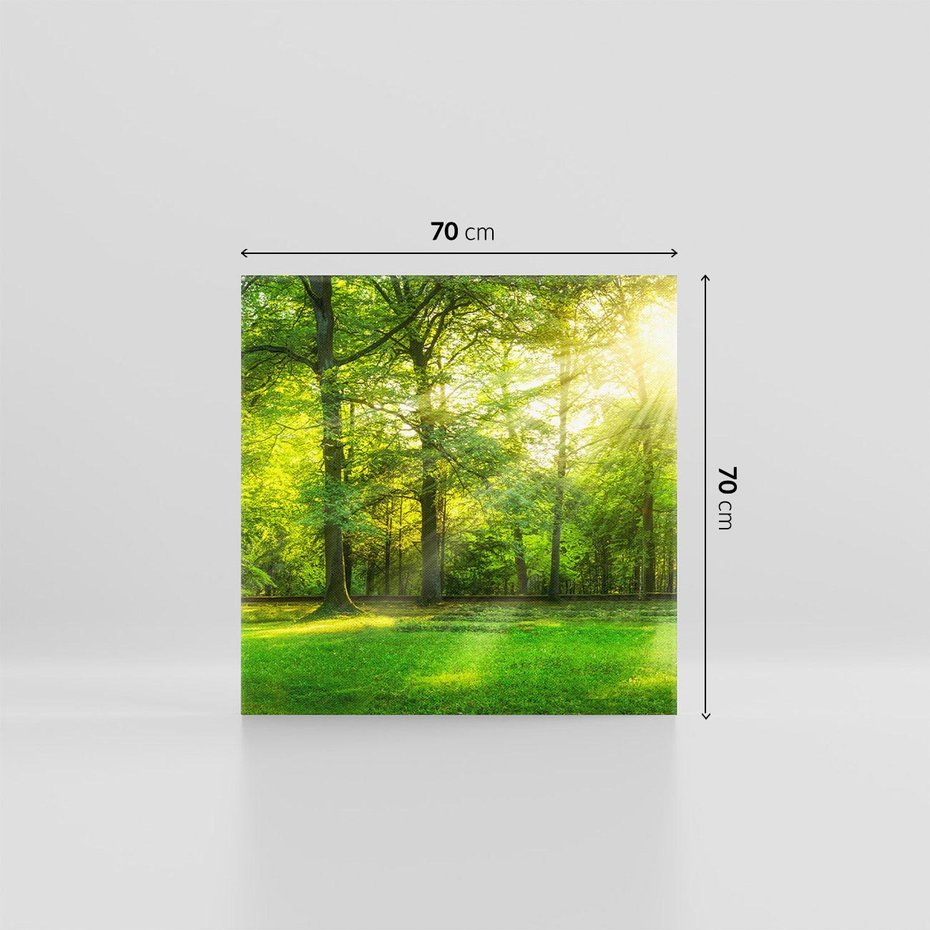 Obraz na płótnie 70x70 - Moc lasu - las, drzewa