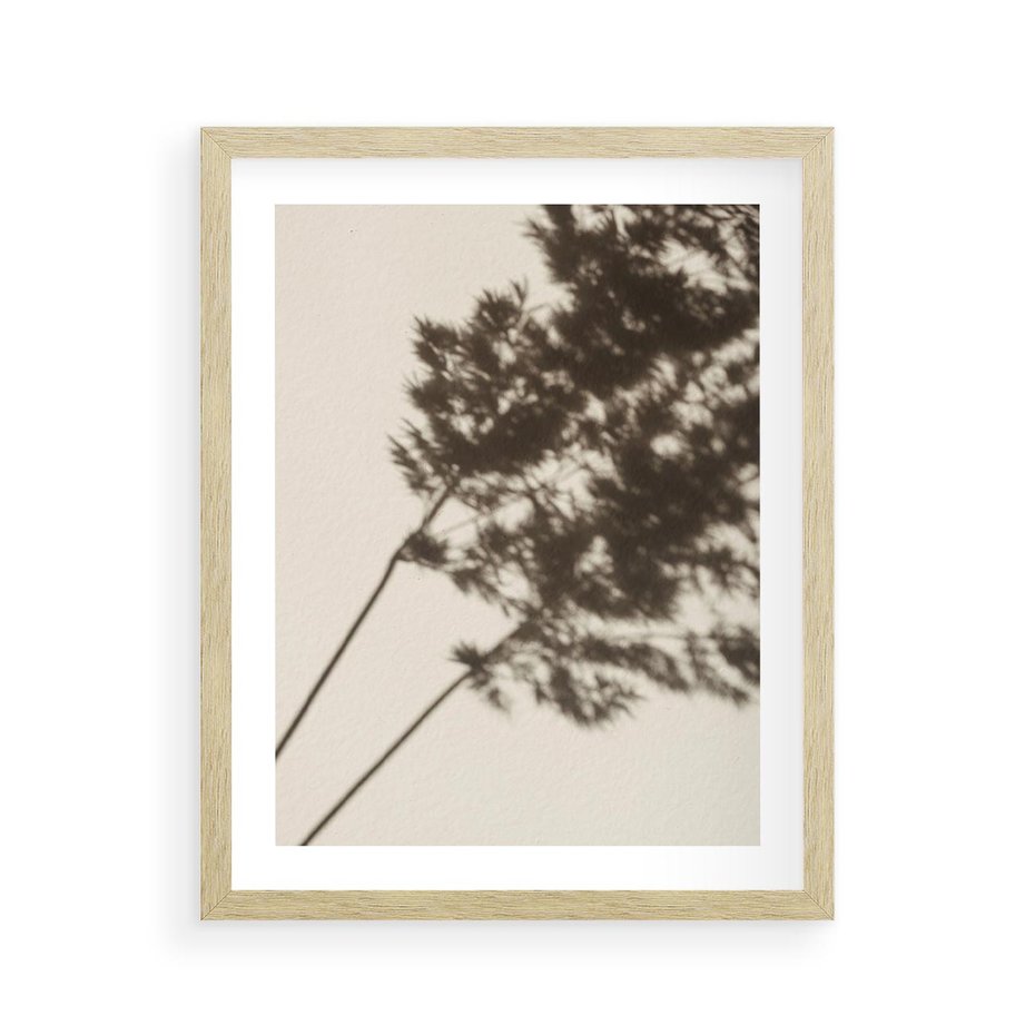 Plakat w ramie 40x50 - Tajemniczy Cień Traw - cień traw, na ścianie - rama drewno
