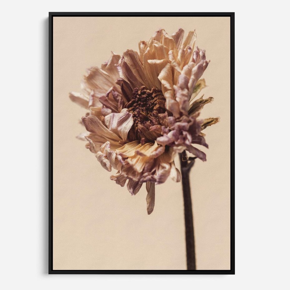 Obraz w ramie 70x100 - Delikatne piękno - suche, kwiaty - rama czarna