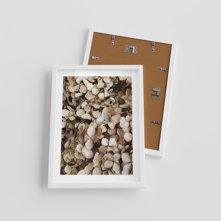 Plakat w ramie 30x40 - Delikatność Hortensji: Kompozycja Kwiatów w Beżu - hortensja, odcienie beżu - rama biała