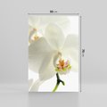 Obraz na płótnie 50x70 - Kwiatowe piękno - kwiat, kwiaty