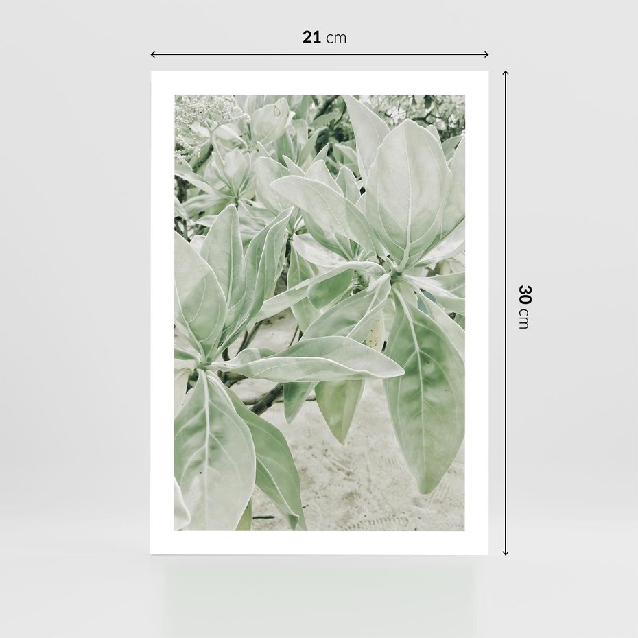 Plakat bez ramy 21x30 - Jasnozielone Liście w Kompozycji - liście, jasna zieleń