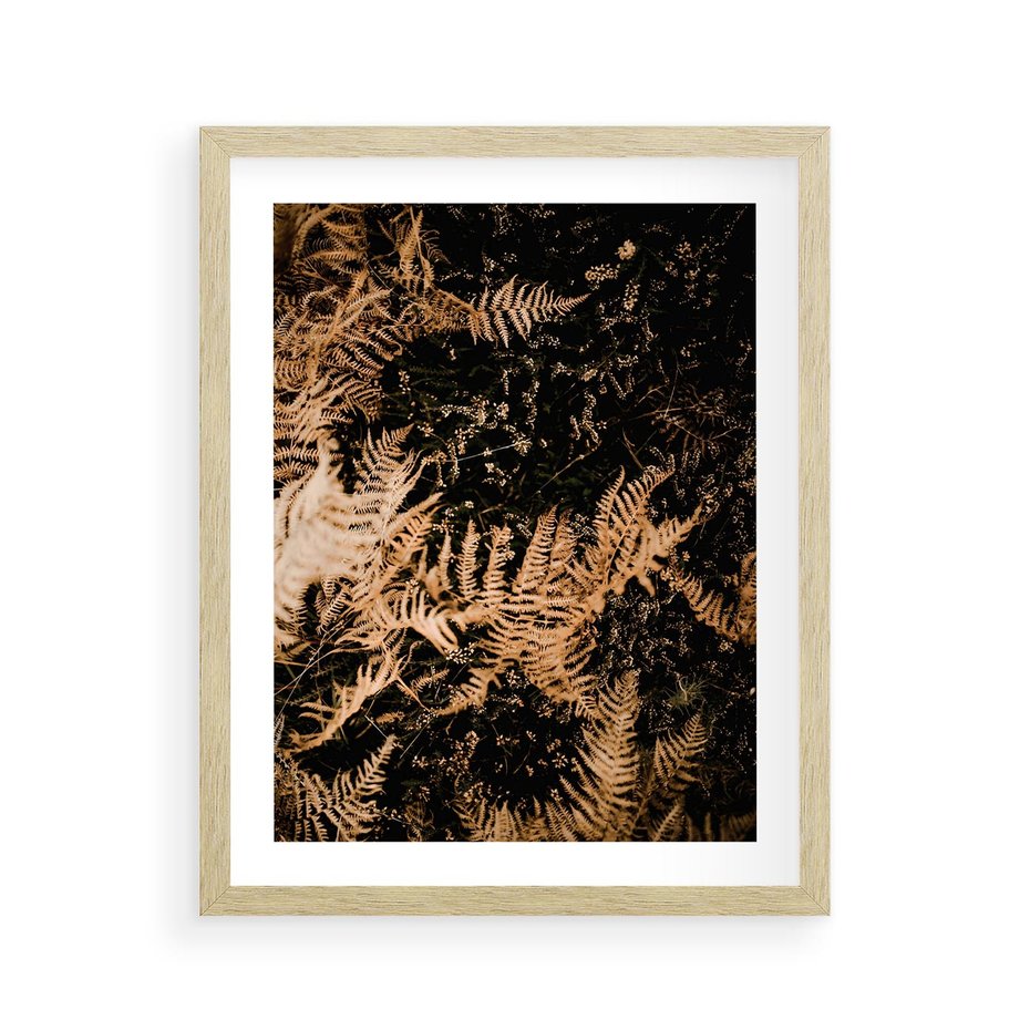 Plakat w ramie 40x50 - Jesienne Paprocie: Kolorowa Paleta Natury - paprocie, jesień - rama drewno
