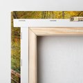 Obraz na płótnie 30x30 - Spacer Ścieżką w Las - ścieżka, spacer