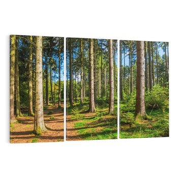 Obraz na płótnie 120x80 - Mistyfikacje lasu - las, drzewa