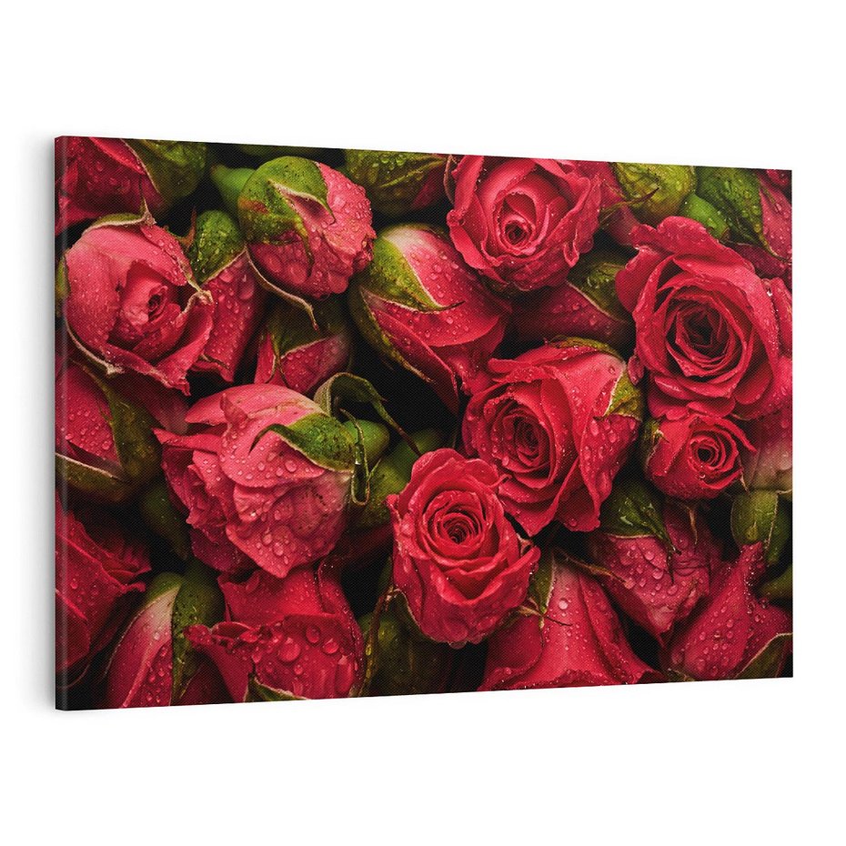 Obraz na płótnie 100x70 - Piękno róż: delikatność natury - róże, kwiaty