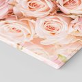 Obraz na płótnie 100x70 - Delikatność róż - piękno natury - róże, kwiaty