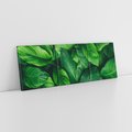 Obraz na płótnie 90x30 - Palma Liście Kwiat - palma, liście