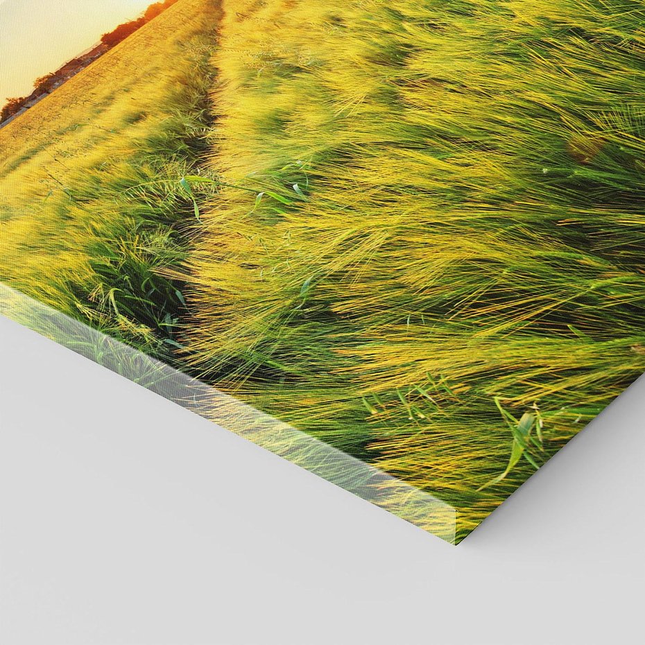 Obraz na płótnie 50x50 - Idylliczna łąka - łąka, natura