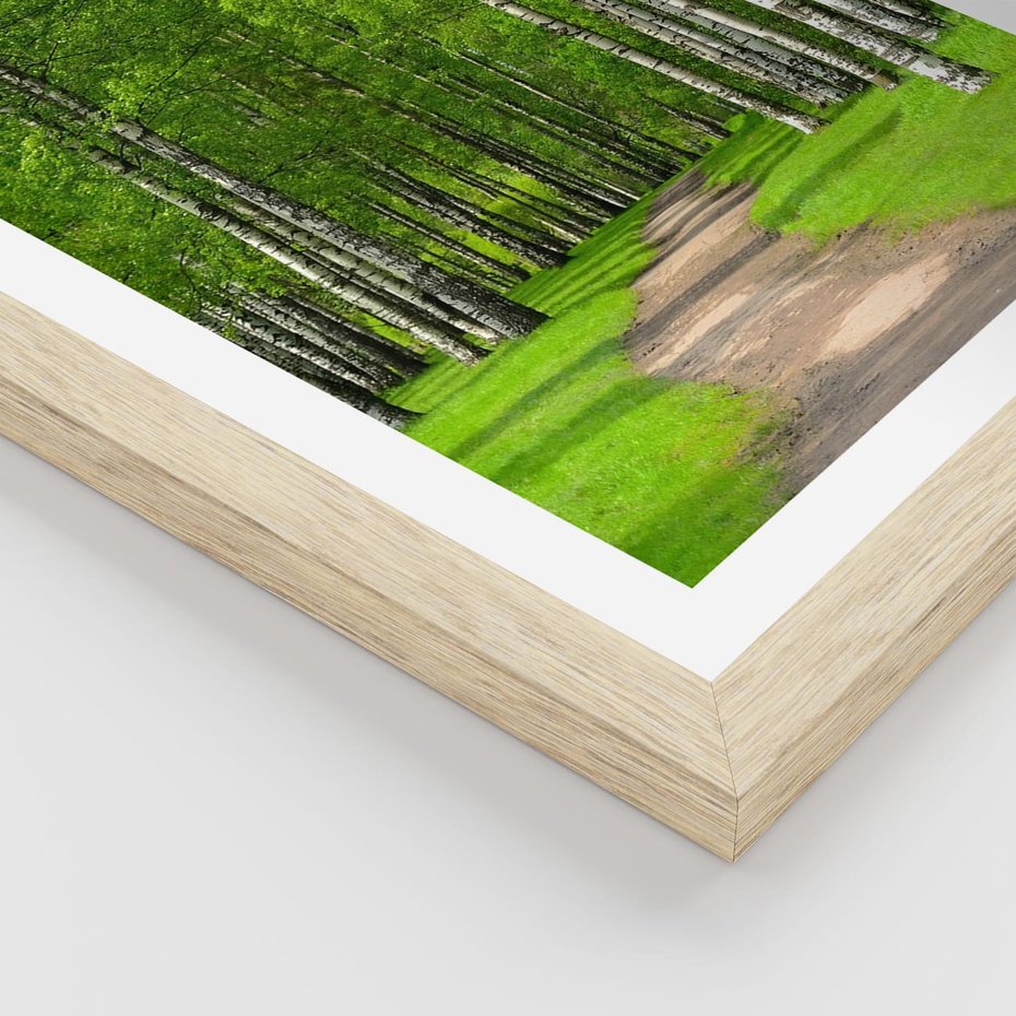 Plakat w ramie 30x40 - Spacer Ścieżką w Urokliwym Lesie - las, ścieżka - rama drewno