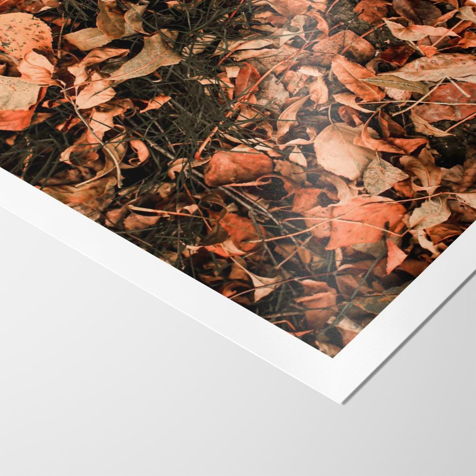 Plakat bez ramy 21x30 - Jesienny Splot: Pomarańczowe Liście - liście, pomarańczowe suche liście