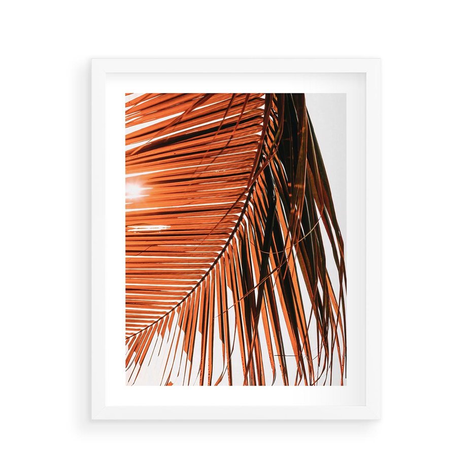 Plakat w ramie 40x50 - Słońce na Palmie - palma, promienie słońca - rama biała