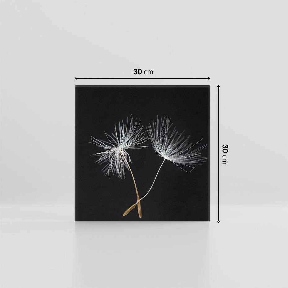 Obraz na płótnie 30x30 - Delikatność Wiatru - dmuchawce, makro