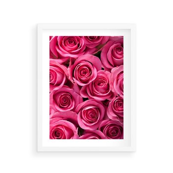 Plakat w ramie 30x40 - Romantyczne róże w pełnym rozkwicie - róże, kwiaty - rama biała