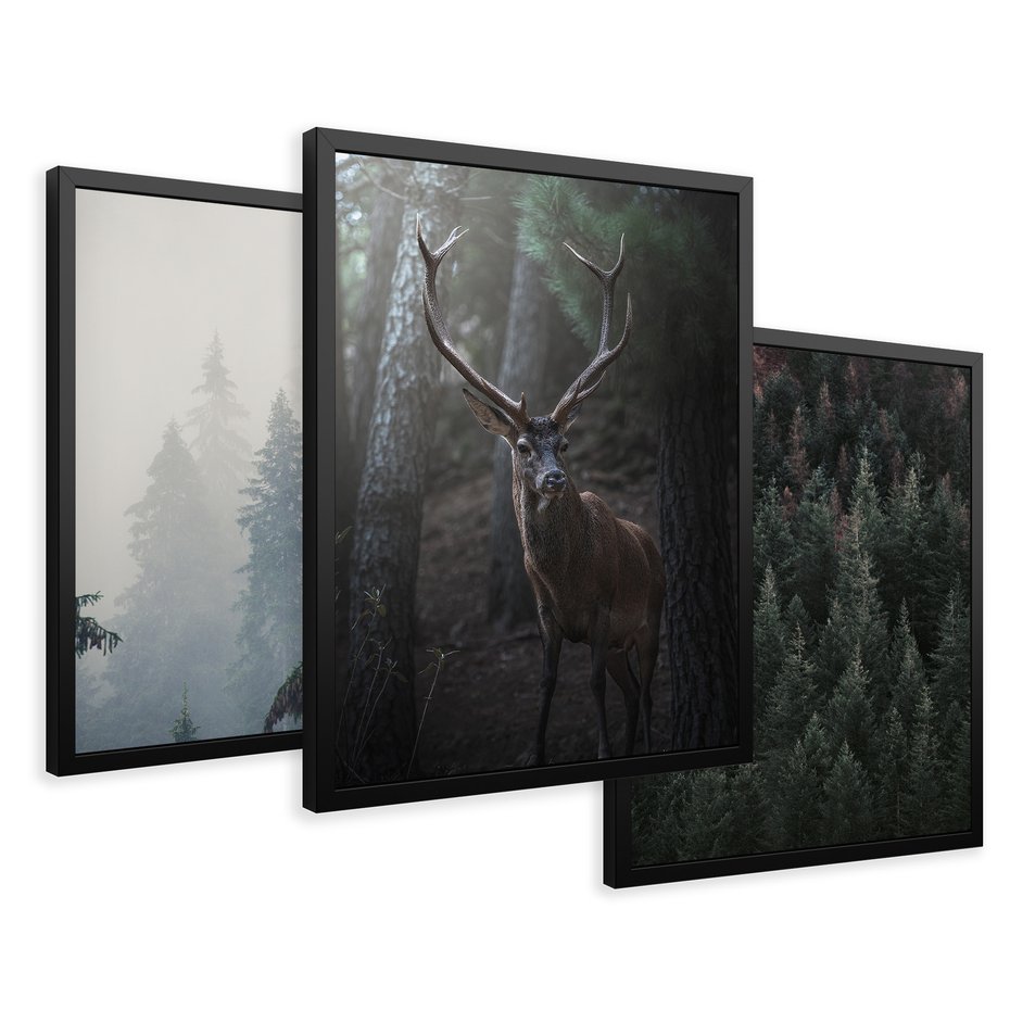 Zestaw obrazy w ramie 30x40 galeria - Jeleń, mglisty, las, skandynawski - rama czarna