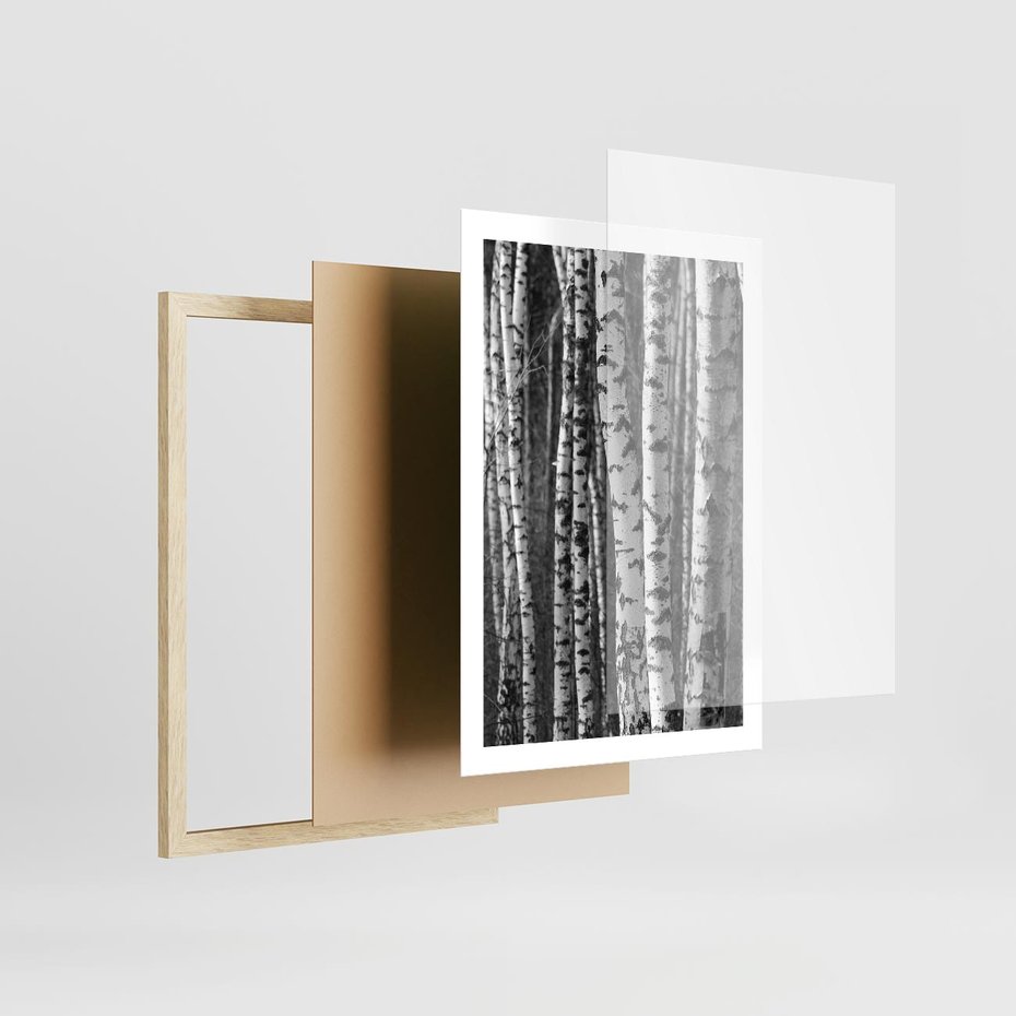 Plakat w ramie 50x70 - Kontrast Monochromatyczny - brzozy, czarno - rama drewno