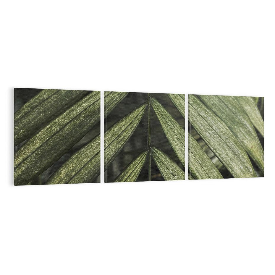 Obraz na płótnie 120x40 - W Liściach Ukryte - zdjęcie, fotografia