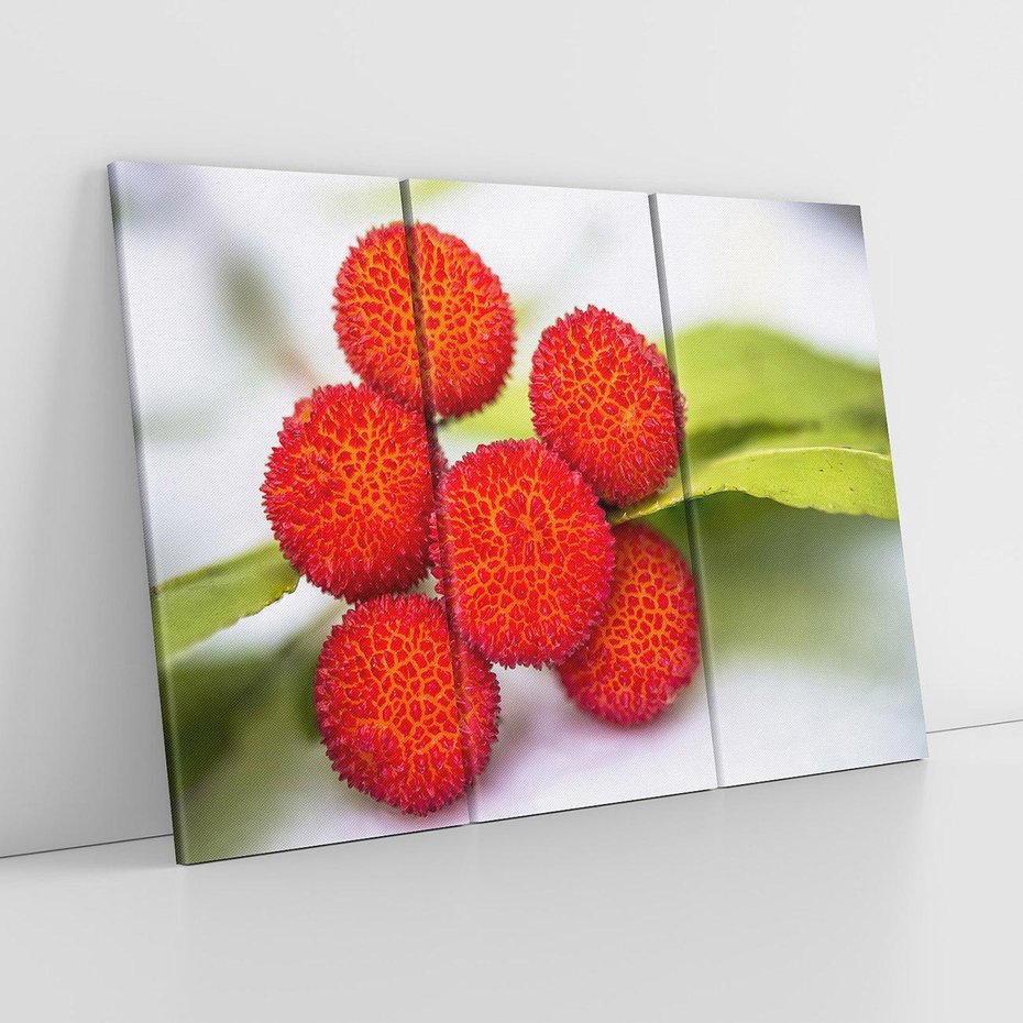 Obraz na płótnie 120x80 - Liczi Owoce - liczi, owoce