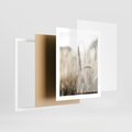 Plakat w ramie 40x50 - Kłosy Pszenicy w Sepii - zboże, kłos pszenicy - rama biała
