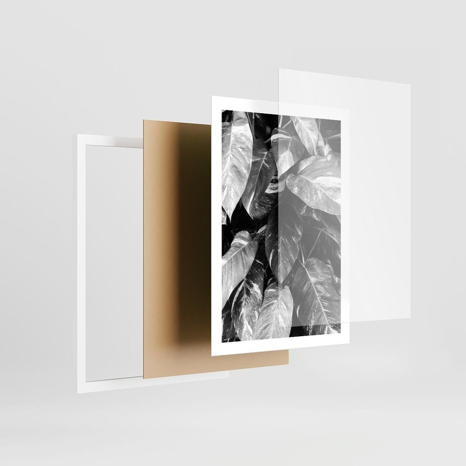 Plakat w ramie 50x70 - Liście w Czarno-Białej Fotografii - liście, roślina - rama biała