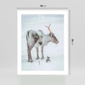 Plakat bez ramy 40x50 - Magia Świąt - renifer na śniegu, śnieg