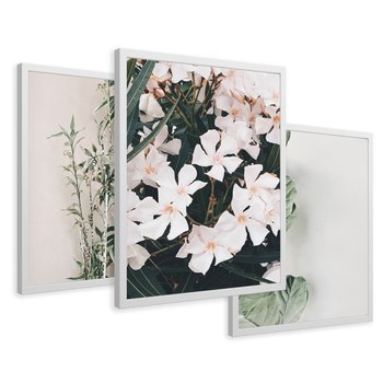 Zestaw obrazy w ramie 30x40 galeria - Liście, kwiaty, nowoczesny, styl - rama biała
