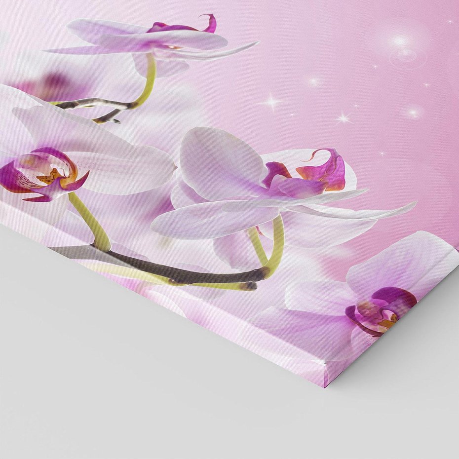 Obraz na płótnie 80x80 - Relaksujące Piękno - kwiaty, orchidea