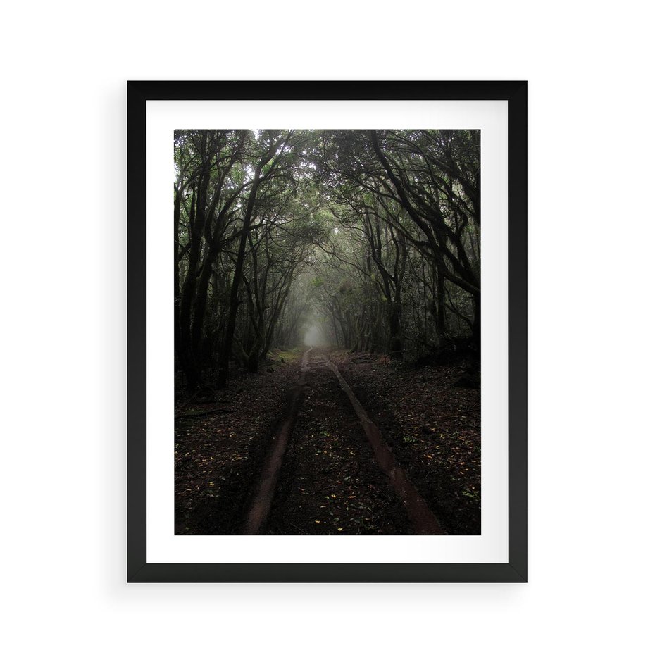 Plakat w ramie 40x50 - Urok Drogi - las, droga - rama czarna