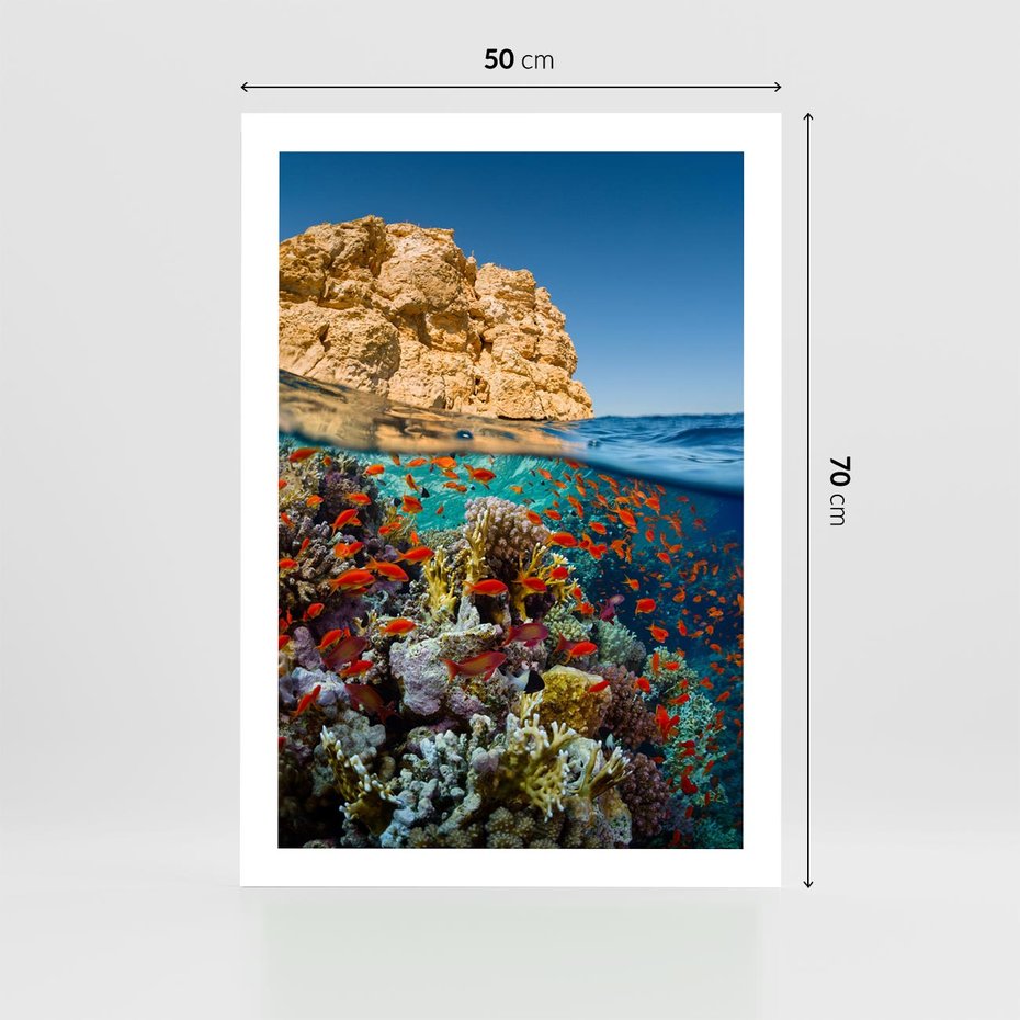 Plakat bez ramy 50x70 - Rafa koralowa w oceanie - rafa, koralowa