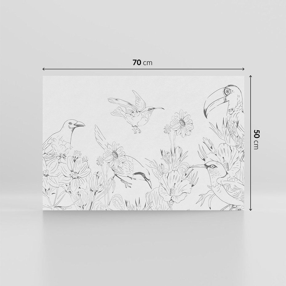 Obraz na płótnie 70x50 - Tropiki w Monochromie - czarno biały szkic, tropikalne ptaki