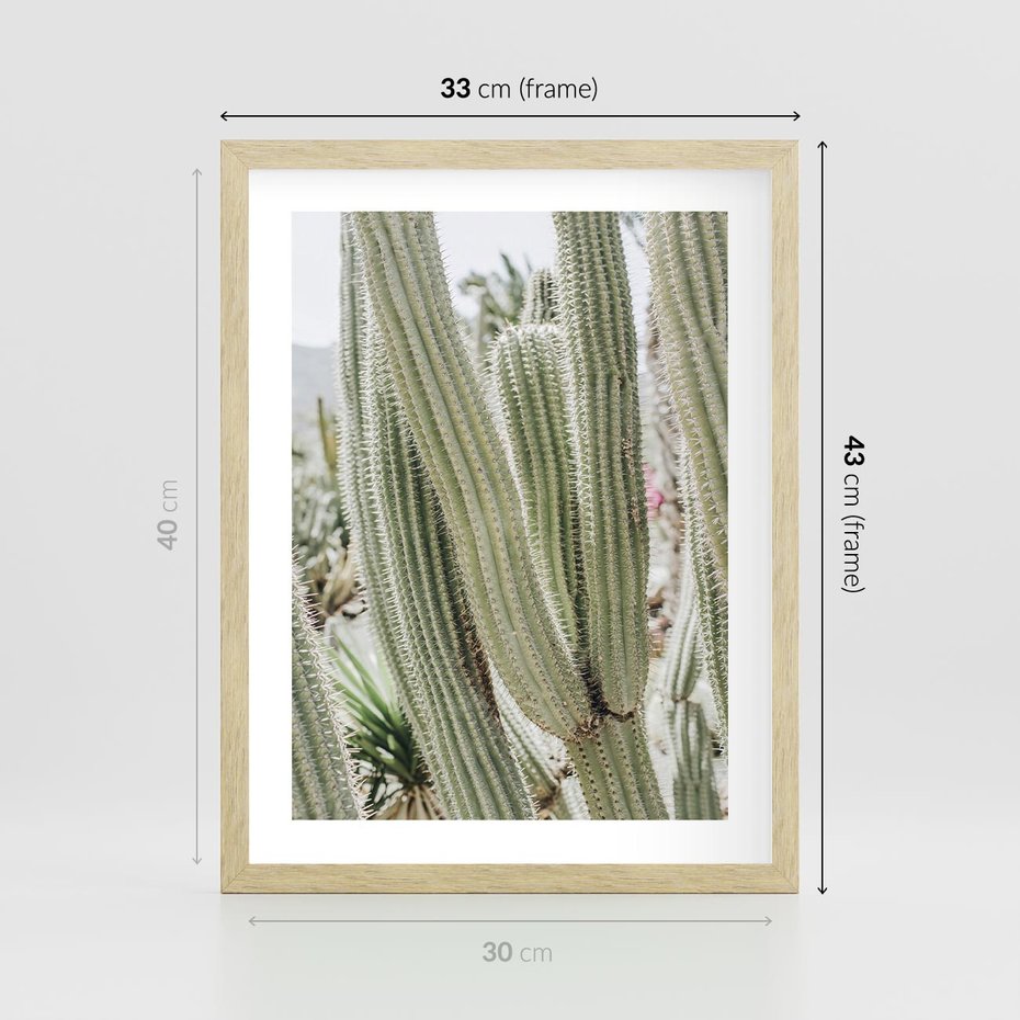 Plakat w ramie 30x40 - Duże Kaktusy w Pejzażu - kaktus, duże kaktusy na pustyni - rama drewno