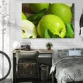 Obraz na płótnie 70x50 - Jabłkowa kolorystyka - jabłka, owoce