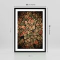Plakat w ramie 50x70 - Jesień z Lotu Ptaka: Malowniczy Las - las jesienią z lotu ptaka - rama czarna